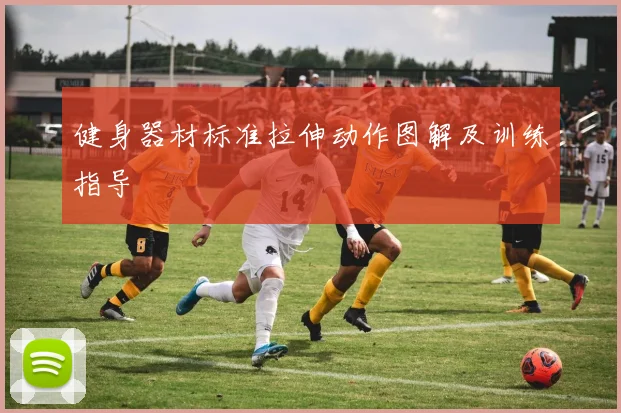 健身器材标准拉伸动作图解及训练指导