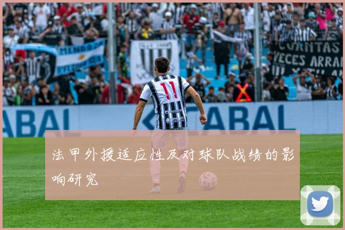 法甲外援适应性及对球队战绩的影响研究