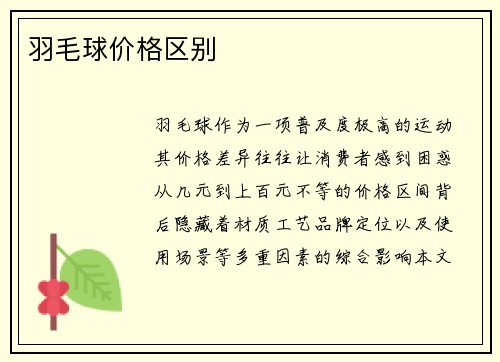 羽毛球价格区别